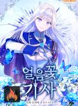 Ice Flower Knight cover