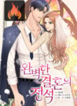 The Essence Of A Perfect Marriage cover