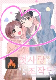 First Love Operation cover