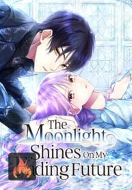 The Moonlight Shines On My Fading Future COVER