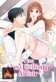 The Lost Stiletto Affair COVER