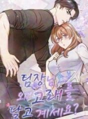 Team Leader Why Are You Carrying a Whale